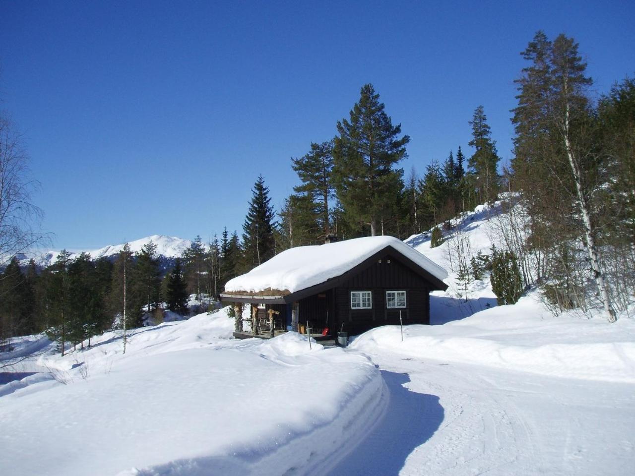 Hogstul Hytter - Skojestua - 2 Bedroom Cottage Tuddal 외부 사진
